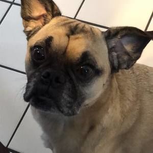 Meet your Posher, Sheri